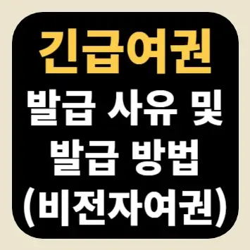 긴급여권 발급 사유 및 발급 방법(비전자여권)