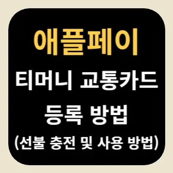 애플페이 티머니 교통카드 등록 방법(선불 충전 및 사용 방법)