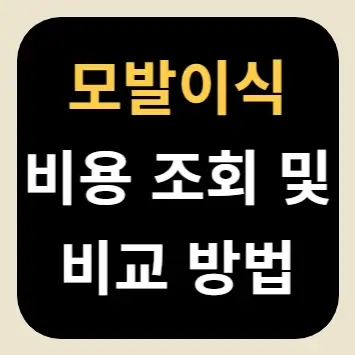 모발이식 비용 조회 및 비교 방법