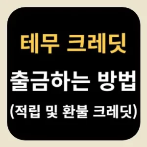 테무 크레딧 출금하는 방법(적립 및 환불 크레딧)