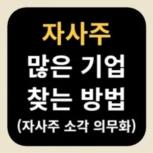 자사주 많은 기업 찾는 방법(자사주 소각 의무화)