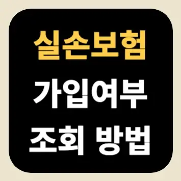실손보험 가입여부 조회 방법