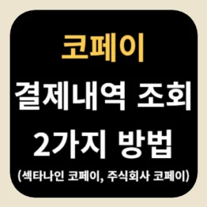 코페이 결제내역 조회 2가지 방법(섹타나인 코페이, 주식회사 코페이)