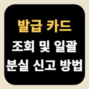 발급 카드 조회 및 일괄 분실 신고 방법