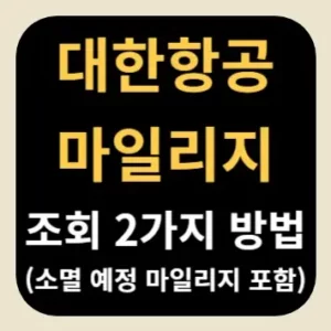 대한항공 마일리지 조회 2가지 방법(소멸 예정 마일리지 포함)