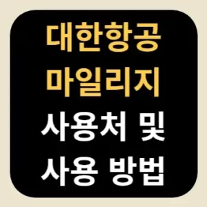 대한항공 마일리지 사용처 및 사용 방법