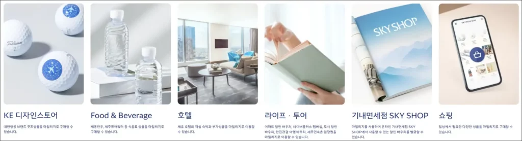 마일리지 몰 사용처