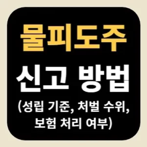 물피도주 신고 방법(성립 기준, 처벌 수위, 보험 처리 여부)