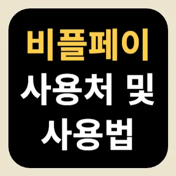 비플페이 사용처 및 사용법 비플페이 사용처 및 사용법