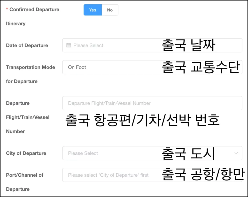 중국 전자입국신고서 작성 방법 중국 전자입국신고서 작성 방법 6