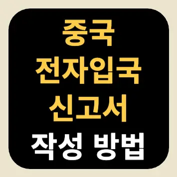 중국 전자입국신고서 작성 방법 중국 전자입국신고서 작성 방법