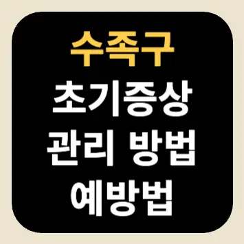 수족구 초기증상 관리 방법 예방법 수족구 초기증상 관리 방법 예방법