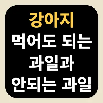 강아지 먹어도 되는 과일과 안되는 과일 강아지 먹어도 되는 과일과 안되는 과일