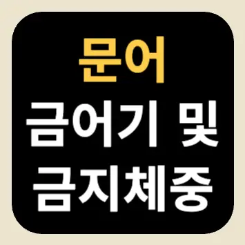 문어 금어기 및 금지 체중 문어 금어기 및 금지체중