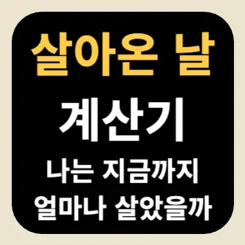 살아온 날 계산기 - 나는 지금까지 얼마나 살았을까 살아온 날 계산기 - 나는 지금까지 얼마나 살았을까